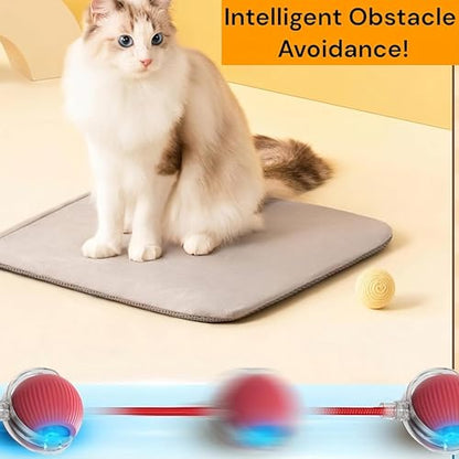Interactive Electric Automatic Rolling Moving Rechargeable Self Play Stimulation Toy,Smart Pet Chase with Speedy Tail Rope for Bored Indoor Cats (Grey) - color: GREY