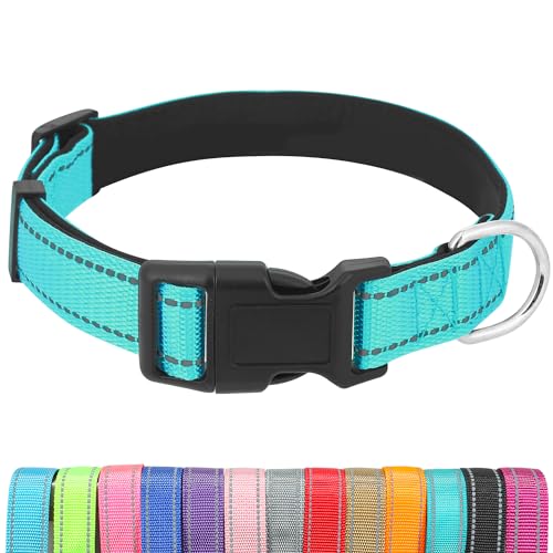 Dog Collars Adjustable for Puppy and Small Dogs,Heavy Duty Waterproof Dog Collar with Quick Release Buckle,Girl Boy Female Male Reflective Nylon Dog Collar with Soft Neoprene Padded,XS,Turquoise - color: Turquoise, size: X-Small