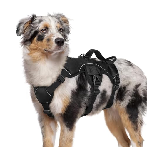 rabbitgoo Escape Proof Dog Harness, Soft Padded Full Body Pet Harness, Reflective Adjustable No Pull Vest with Lift Handle and Leash Clip for Large Dogs Walking Hiking Training, M, Black - color: Black, size: Medium (Pack of 1)