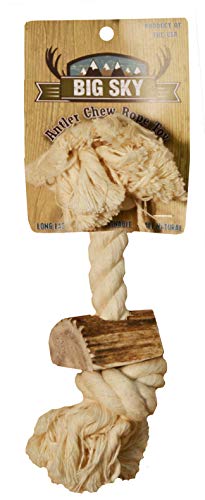 "Scott Pet 5/8"" X 8"" 1 Piece Rope Toy With Antler, Small, White", tan (AB01W) - size: Small