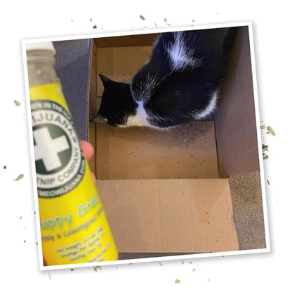 Meowijuana Strawberry Bundle | Get Sprung Refillable Strawberry Toy and Happy Grass Catnip Blend | Promotes Play and Cat Health | Includes North American Organic Catnip