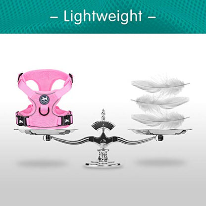 PoyPet Reflective Soft Breathable Mesh Dog Harness No Choke Double Padded Vest Adjustable(Light Pink,XS) - color: Light Pink, size: XS
