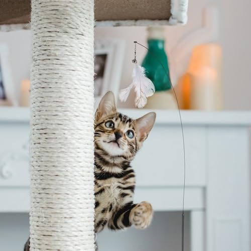 Cat Teaser Stick with Suction Base and Bell, 10pcs Interactive Feather Cat Wand Set with 10 Replacement Heads for Indoor Kitten Play and Exercise