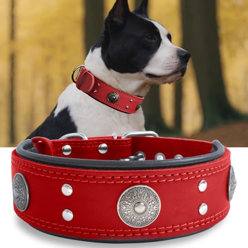 Leather Dog Collar, 2 inches Wide Heavy Duty Genuine Leather Collars, Handmade, Soft, and Luxury, Eye-catching Best Choice for Large and Medium Breed Dogs, Red 21-25 in - color: Red, size: 21-25 in