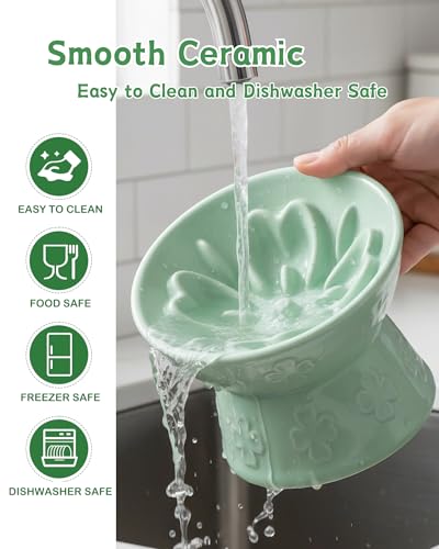 Ceramic Slow Feeder Cat Bowl, 15° Tilted Elevated Cat Slow Eating Bowl for Neck Protection, Anti Vomiting Dog Slow Feeder, Whisker Friendly & No Black Chin for Cats and Small Dogs, Green - color: 02-Green