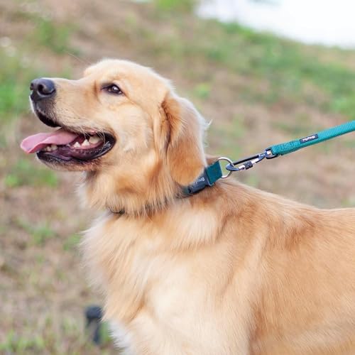 Medium Dog Collar:Heavy-Duty Quick-Release Nylon Buckle, Adjustable & Durable, Cute Dog Collar (Medium, Dark Green) - color: Dark Green, size: Medium
