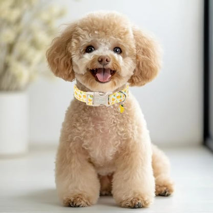 Summer Dog Collar Yellow Lemon Dog Collars for Puppy Small Dogs - Lightweight Adjustable Cute Male Female Dogs Everyday Collar with Safety Buckle XS - color: Yellow Lemon, size: XS