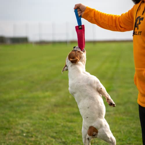 Bull Fit K9 Dog Bite Tug Toy with Strong Handle - Made of Durable & Tear-Resistant French Linen - Perfect for Tug of War, Fetch & Puppy Training - Ideal for Medium to Large Breeds - color: Orange Bite Tug with Blue Handle