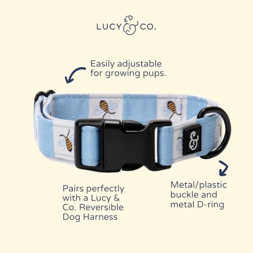 Lucy & Co. Bumbling Around Dog Collar, Adjustable Durable Dog Collar with Cute Print, Small - color: Bumbling Around, size: Small