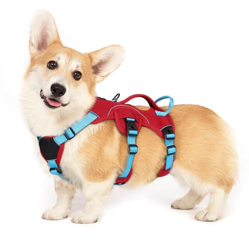 rabbitgoo Escape Proof Dog Harness Large Dogs, Soft Padded Full Body Pet Harness, Reflective Adjustable No Pull Vest with Lift Handle and Leash Clip for Walking Hiking Training, Blue & Red, S - color: Blue & Red, size: Small (Pack of 1)