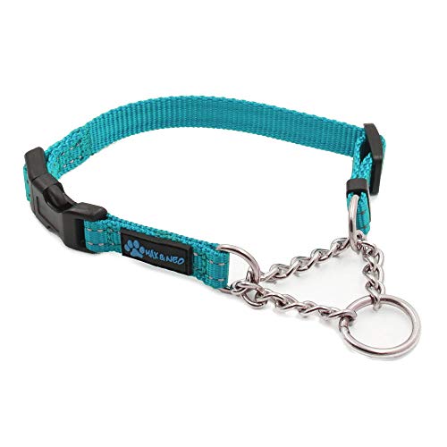 Max and Neo Stainless Steel Chain Martingale Collar - We Donate to a Dog Rescue for Every Collar Sold (X-Small, Teal) - color: TEAL, size: X-Small