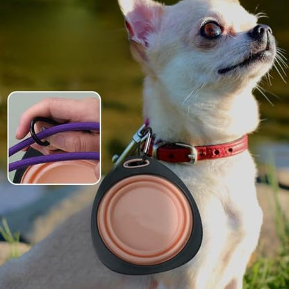 3 Piece Collapsible Pet Bowl Set with Carabiners 10.8oz Portable Foldable Feeding Water Bowls for Dogs Cats,Ideal for Outdoor Travel Walking Hiking（Pink Blue Green）