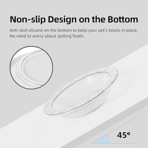 Havniva Cat Food Bowl, 6.1" Raised Cat Bowls with Acacia Wood Stand, Elevated Cat Dishes Ceramic Pet Food & Water Bowl Set, Extra Wide Whisker Friendly Elegant Pet Dish for Kitten, Cats, Puppy - color: 1Bowl+1Dish+Stand- Arctic White