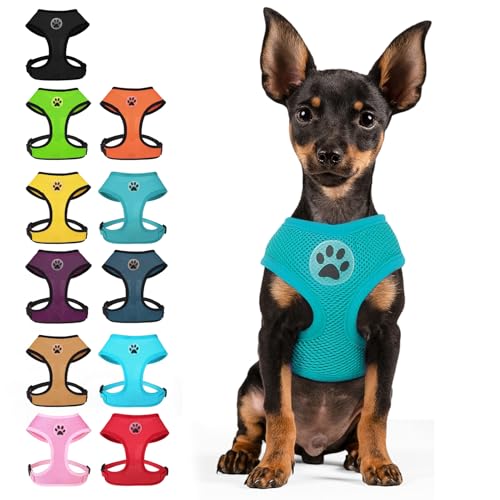BINGPET Small Dog Harness, No Pull Dog Harness Small Sized Dogs, Soft Light Breathable Mesh Puppy Vest with Safety Buckle-Adjustable Step in Pet Harnesses for Easy Walking, Running, Training - color: Aqua, size: S (NECK: 12", CHEST: 14"-18")
