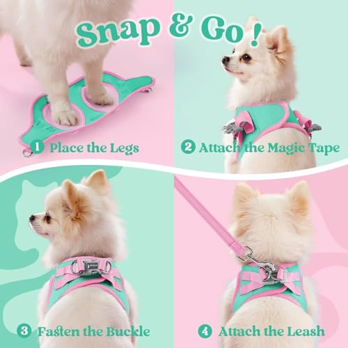 rabbitgoo Dog Harness Small Sized and Leash Set, Step-in Breathable Pet Harness, Soft Walking Reflective Puppy Vest for Small Dogs, Teal & Pink, XXS - color: Teal & Pink, size: XXS (Chest: 12.4 - 14.2")