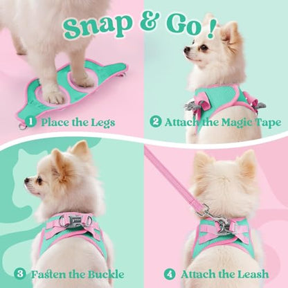 rabbitgoo Dog Harness Small Sized and Leash Set, Step-in Breathable Pet Harness, Soft Walking Reflective Puppy Vest for Small Dogs, Teal & Pink, XXS - color: Teal & Pink, size: XXS (Chest: 12.4 - 14.2")