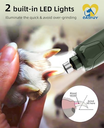 Casfuy Dog Nail Grinder Quiet - (45db) 6-Speed Pet Nail Grinder with 2 LED Lights for Large Medium Small Puppy Dogs/Cats, Professional 3 Ports Rechargeable Electric Dog Nail Trimmer with Dust Cap - color: Green