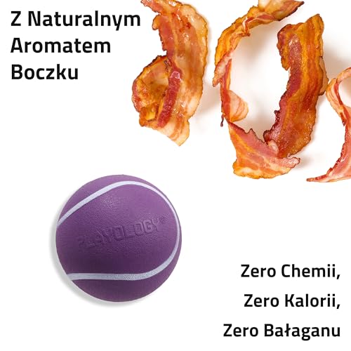 Playology Dog Toys | Squeaky Chew Ball - Bouncy Durable Floating Fetch Ball for Dogs | Medium Bacon Scented Toy - Easy to Clean and Made from Non Toxic Materials - size: Medium, style: Bacon