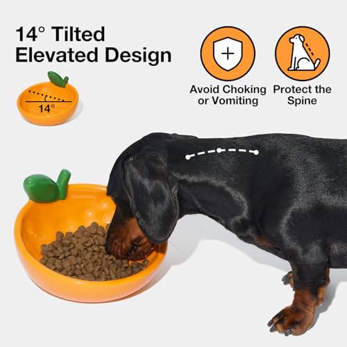 VETRESKA Ceramic Pet Bowl Tilted Design Pet Feeder for Food and Water Anti Vomit Cat Bowls for Indoor Cats Cute Tangerine Cat Bowl Dishwasher Safe - color: Tangerine Bowl