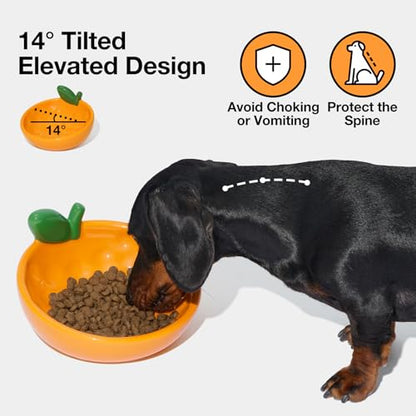 VETRESKA Ceramic Pet Bowl Tilted Design Pet Feeder for Food and Water Anti Vomit Cat Bowls for Indoor Cats Cute Tangerine Cat Bowl Dishwasher Safe - color: Tangerine Bowl