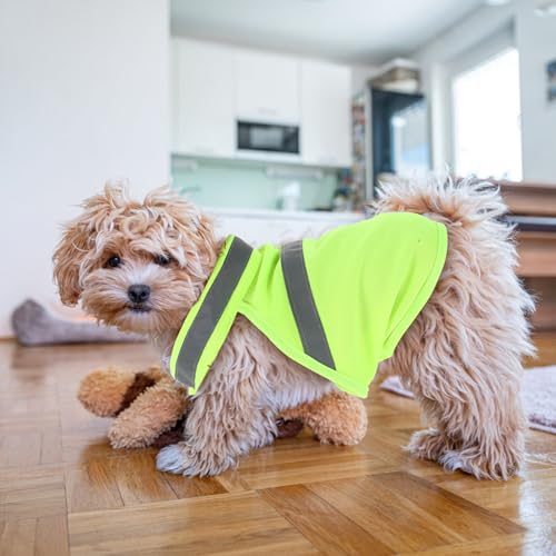 POPETPOP Dog Reflective Vest, High Visibility Dog Safety Service Vest, Adjustable Breathable Summer Clothes for Night Outdoor Hunting Walking (Fluorescent Yellow)
