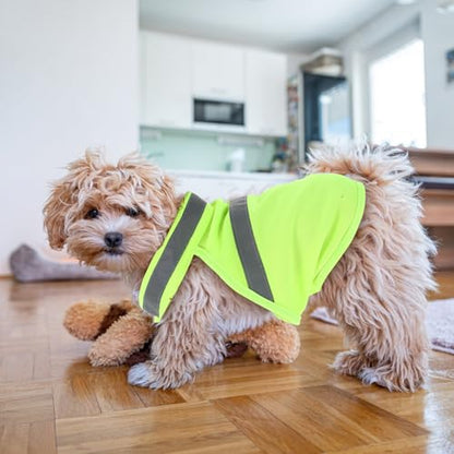 POPETPOP Dog Reflective Vest, High Visibility Dog Safety Service Vest, Adjustable Breathable Summer Clothes for Night Outdoor Hunting Walking (Fluorescent Yellow)