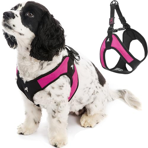 Gooby Hot Pink Small Dog Harness, Easy Fit No Pull with Quick Release Buckle, Machine Washable, Escape Free, Sporty Style - color: Hot Pink, size: Small chest (16~19.25")