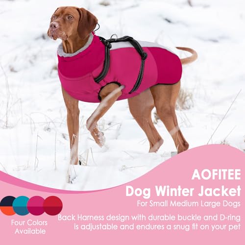 AOFITEE Dog Coat, Warm Dog Jacket with Harness Built-in, Waterproof Medium Dogs Cold Weather Coat with Zipper, Reflective Fleece Lined Pet Snow Jackets for Pug, Jack Russell, Boston Terrier, HotPink M - color: RoseRed, size: Medium