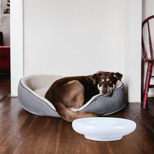 SHINEOFI Ceramic Cat Feeding Bowl No Spill Water Feeder White Pet Drinking Bowl Anti-Spill Design Suitable for Cats and Kittens