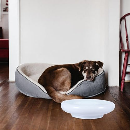 SHINEOFI Ceramic Cat Feeding Bowl No Spill Water Feeder White Pet Drinking Bowl Anti-Spill Design Suitable for Cats and Kittens
