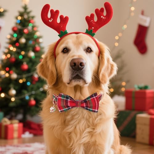 ADOGGYGO Christmas Dog Collars with Bow, Detachable Plaid Bowtie with Charm, Metal Buckle, Adjustable Red Green Plaid Christmas Collars for Extra Large Dogs Boy Girl (X-Large) - color: Christmas, size: X-Large