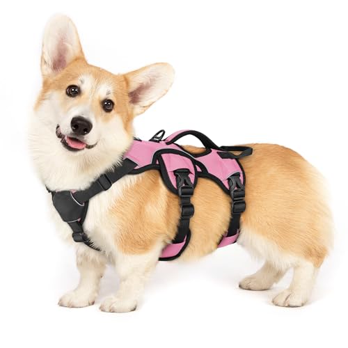 rabbitgoo Escape Proof Dog Harness Small Sized Dog, Soft Padded Full Body Pet Harness, Reflective Adjustable Vest with Lift Handle and Leash Clip for Walking Hiking Training, Light Pink, S - color: Light Pink, size: Small (Pack of 1)