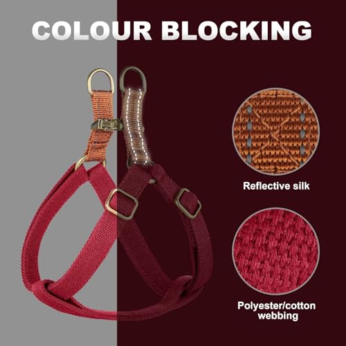 Didog Step in Dog Harness with Metal Buckles, Freedom Nylon Dog Halter Vests for Medium Dogs Easy Walking Training(M:Chest 19-28", Red) - color: Red, size: M: Chest 19-28", Fit 15-30 lbs