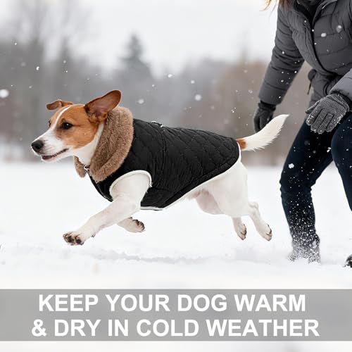 BEAUTYZOO Winter Dog Vest Coat with Harness Built in, Warm Puppy Jacket for Small Medium Dogs, Lightweight Cold Weather Small Dog Coat, Fleece Puffer Vest Windproof Snowproof Pet Clothes, Black - color: Black, size: L (Back: 17",Chest: 26")