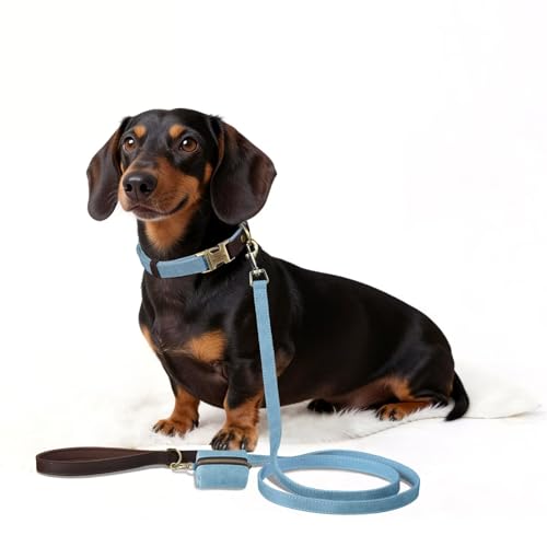 Personalized Dog Collars, Custom PU Leather Dog Collar with Name&Phone Number, Engraved Dog Collar for Small Dogs, Adjustable Durable Collar with Quick Release Metal Buckle, Denim Blue,S - color: Denim Blue, size: S: Neck 11-15", Width 0.6"