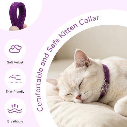 BINGPET Diamond Cat Collar,Adjustable Soft Velvet Leather Safe Kitten Collar with Crystal Heart Charm and Bells,Girl Boy Bling Stylish Cat Collars with Safety Elastic (Purple, Neck Girth 8"-10") - color: Purple(Heart), size: Neck Girth 8"-10"