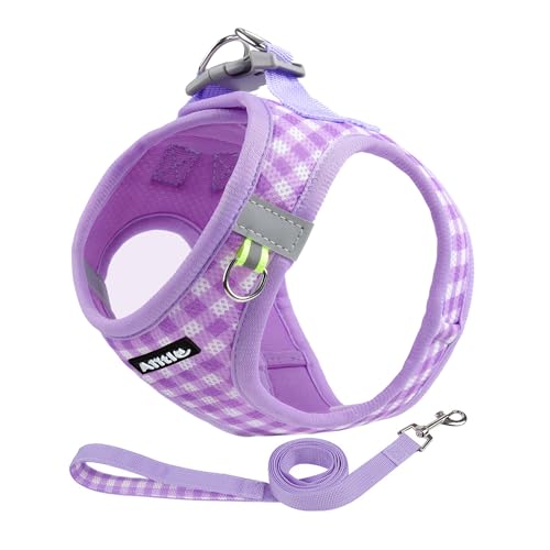 AIITLE Small Dog Harness with Leash – Soft Breathable Mesh, Plaid Pattern & Reflective Strips – Ideal for Training, Running & Party Outings (S, Purple) - color: Purple, size: S