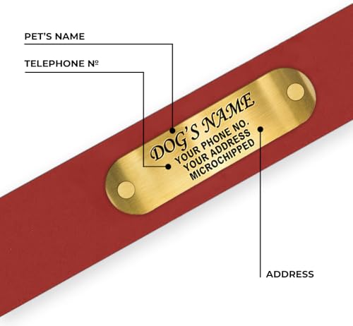 Regal Dog Products Large Red Waterproof Dog Collars with Custom Engraved Name Plate | Vinyl Coated, Anti, Easy to Clean Personalized Biothane Dog Collar - Other Sizes for Small & Medium Dogs - color: Red, size: Large Collar