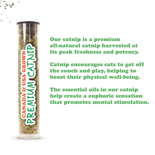 Meowijuana Dragonfly Jump 'n' Jamb Door Hanging Cat Toy and Purrple Passion Catnip Blend | Refillable Interactive Catnip Toy | Catnip Grown in North America - color: Dragonfly & Purrple Passion Blend