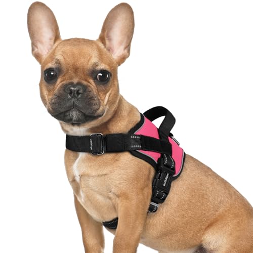 rabbitgoo Dog Harness for Small, Easy On Pet Vest with One Buckle, No Pull Adjustable Service Harness with D-Ring & Handle, Reflective for Safety Walking, Training, Pink, S - color: Pink, size: Small