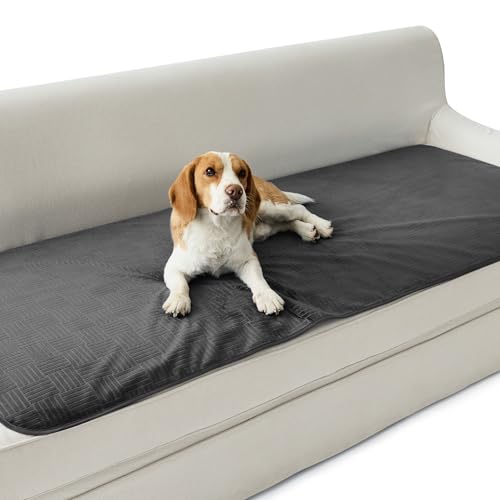 Bedsure Waterproof Couch Cover for Dogs Washable - Waterproof Blanket for Couch Sofa Cozy, Lightweight Furniture Protector for Pet Cat Quick Drying Puppy, Charcoal, 30x70IN - color: Charcoal, size: 30x70 inch