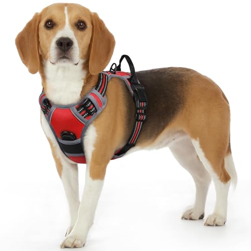 Dog Harness Small Sized Dog, No Pull Service Vest with Reflective Strips and Control Handle, Adjustable and Comfortable for Easy Walking, No Choke Pet Harness with 2 Metal Rings, Red, S - color: Red, size: Small