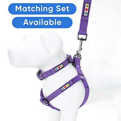 Pawtitas Reflective Dog Collar for X-Small Dogs – Adjustable Nylon Puppy Collar with Quick-Release Buckle | Fits Neck 8–13 in | Night Safety Training Collar | XS | Purple - color: Purple, size: X-Small (Pack of 1)