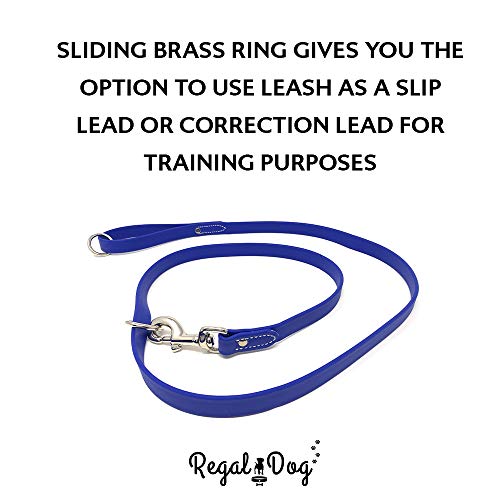 Regal Dog Products Waterproof Leash – 5 ft. Blue Dog Leash with Easy to Use Collar Hook, Lightweight, and Proof Training Pet Lead with Vinyl-Coated Webbing for Small, Medium, Large, or XL Dogs - color: Blue