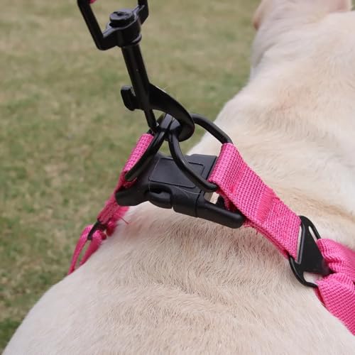Dog Harness and Leash Set, Adjustable Triangle, Reflective Adjustable Puppy Vest, No Pull Soft Mesh Harness for Small, Medium Dogs, Cats (Fuchsia, M) - color: Fuchsia, size: M