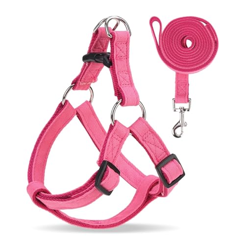 BINGPET Dog Harness Leash Set,Adjustable No Pull Step in Dog Harness,Stylish Denim Puppy Harness for Small and Medium Dogs Easy Walk Training Running(Pink,S) - color: Pink, size: S(Chest Girth:14.9''-20.9'')