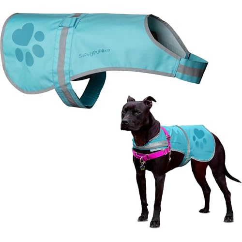 SafetyPUP XD Dog Reflective Vest – Hi-Vis Fluorescent Visibility that Helps to Safeguard Your Pet On/Off Leash in Urban & Rural Areas (Teal, Medium) - color: Teal, size: Medium