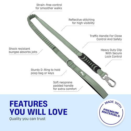 Dog Friendly Co. Bungee Dog Leash | Strain Free & Shock Resistant for Control | Neoprene Padded Handle, Heavy-Duty Carabiner Clip, and D-Ring | Khaki, Size Small - color: Khaki, size: Small