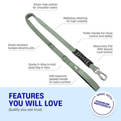 Dog Friendly Co. Bungee Dog Leash | Strain Free & Shock Resistant for Control | Neoprene Padded Handle, Heavy-Duty Carabiner Clip, and D-Ring | Khaki, Size Small - color: Khaki, size: Small