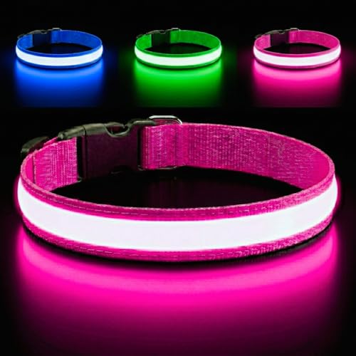 Light Up Dog Collar – Reflective, Adjustable & Rechargeable Electronic Glow Pet Collars – Bright, Comfortable, High Visibility LED Dog Collar for Night Safety, Outdoor Walk, Flashing Fun, Pink, Medium - color: Pink, size: Medium